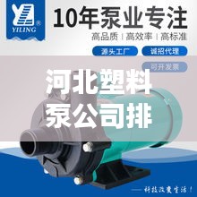 河北塑料泵公司排名揭晓，行业领军者榜单出炉！