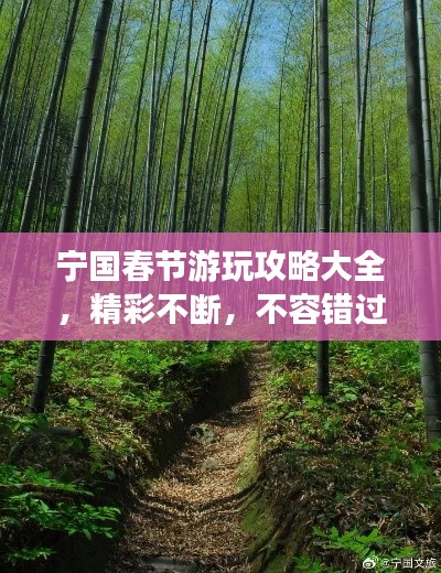 宁国春节游玩攻略大全，精彩不断，不容错过！