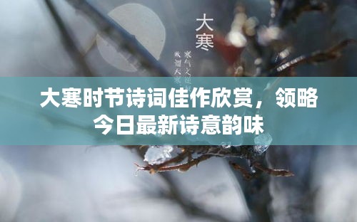 大寒时节诗词佳作欣赏，领略今日最新诗意韵味