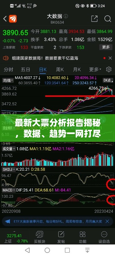 最新大票分析报告揭秘，数据、趋势一网打尽！
