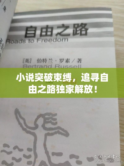 小说突破束缚，追寻自由之路独家解放！