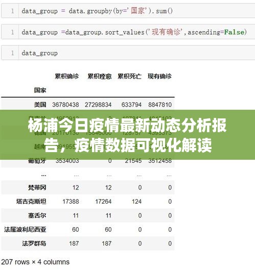 杨浦今日疫情最新动态分析报告，疫情数据可视化解读