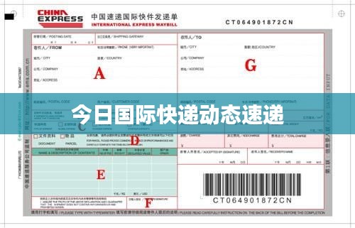 今日国际快递动态速递