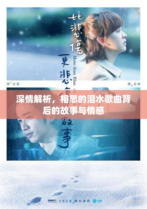 深情解析，相思的泪水歌曲背后的故事与情感