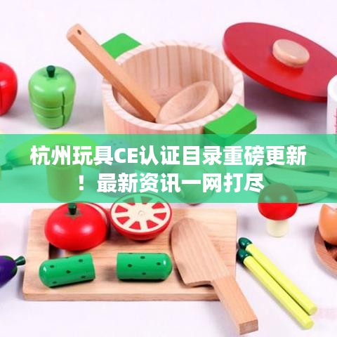 杭州玩具CE认证目录重磅更新！最新资讯一网打尽