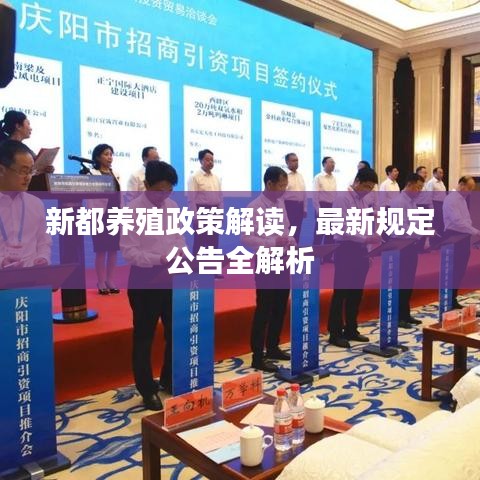 新都养殖政策解读，最新规定公告全解析