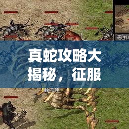 真蛇攻略大揭秘，征服未知领域的终极指南