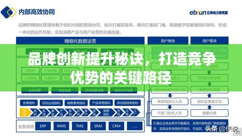 品牌创新提升秘诀，打造竞争优势的关键路径