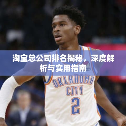 淘宝总公司排名揭秘，深度解析与实用指南