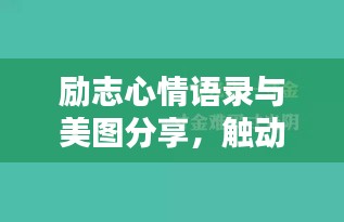 励志心情语录与美图分享，触动心灵的美好瞬间