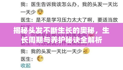 揭秘头发不断生长的奥秘，生长周期与养护秘诀全解析