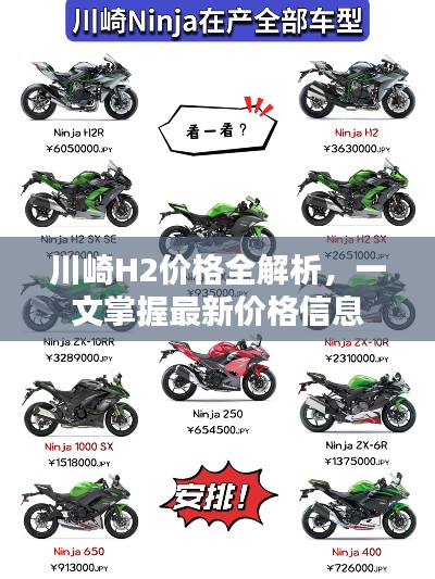 川崎H2价格全解析，一文掌握最新价格信息