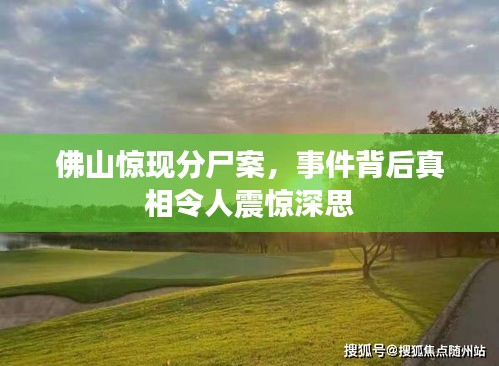 佛山惊现分尸案，事件背后真相令人震惊深思