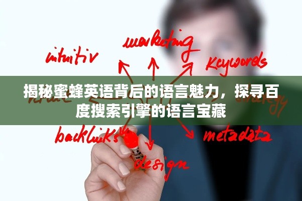揭秘蜜蜂英语背后的语言魅力，探寻百度搜索引擎的语言宝藏