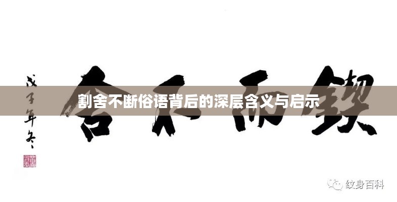 割舍不断俗语背后的深层含义与启示