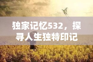 独家记忆532，探寻人生独特印记的奥秘