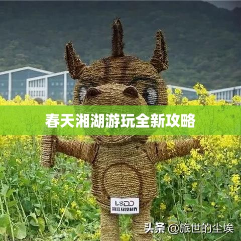 春天湘湖游玩全新攻略