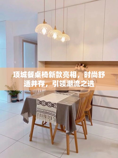 项城餐桌椅新款亮相，时尚舒适并存，引领潮流之选
