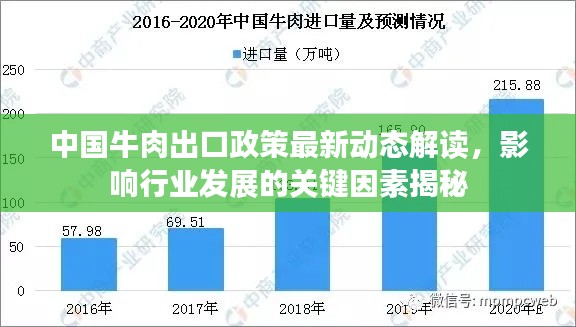 中国牛肉出口政策最新动态解读，影响行业发展的关键因素揭秘
