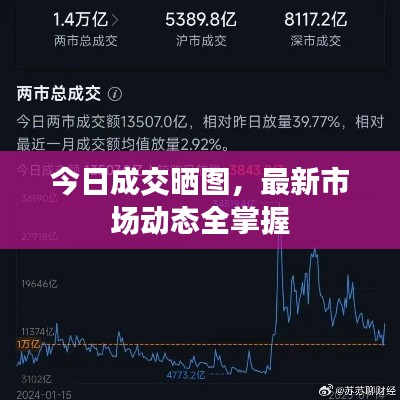 今日成交晒图，最新市场动态全掌握