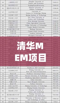 清华MEM项目全球排名及影响力解析，探索其在世界舞台上的卓越表现