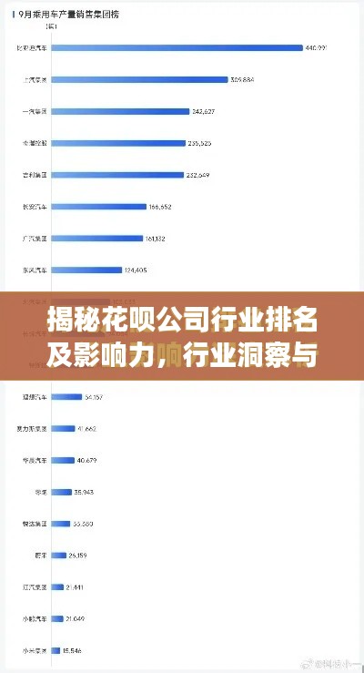揭秘花呗公司行业排名及影响力，行业洞察与深度解析