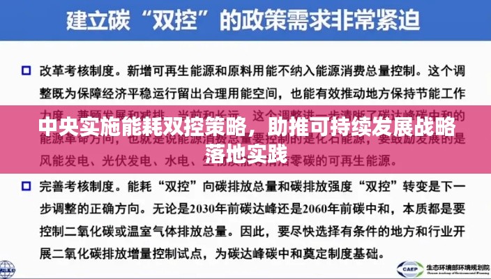 中央实施能耗双控策略，助推可持续发展战略落地实践