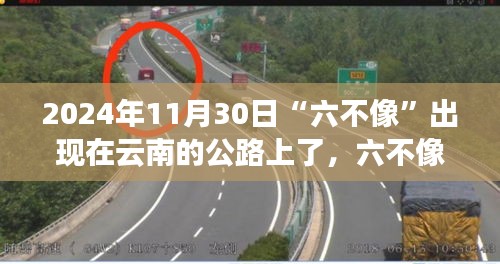 六不像惊现云南公路，自然与时代的交汇点