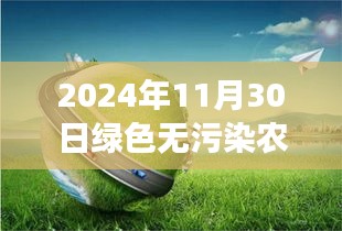 2024年11月 第9页