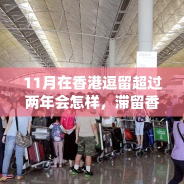 香港滞留两年，蜕变与机遇之旅