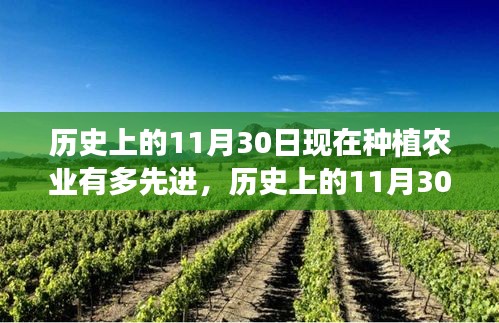 现代种植农业的惊人先进性，历史视角下的11月30日变迁回顾与展望