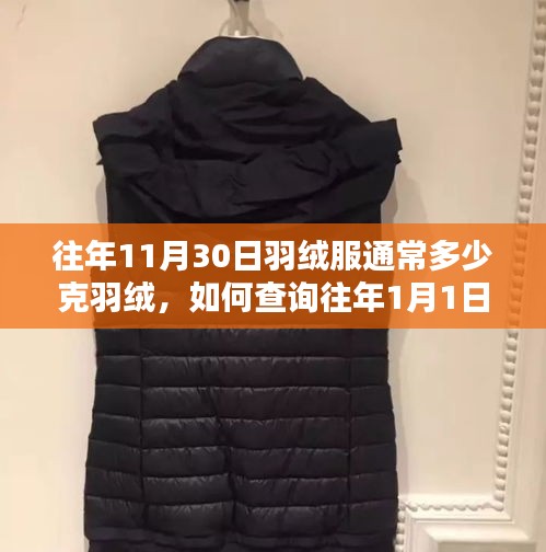 羽绒服羽绒重量查询指南，历年数据对比与详细查询步骤（附往年羽绒服羽绒重量参考）