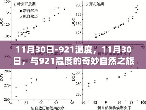 11月30日与921温度的奇妙自然之旅，探寻内心宁静与欢笑的旅程