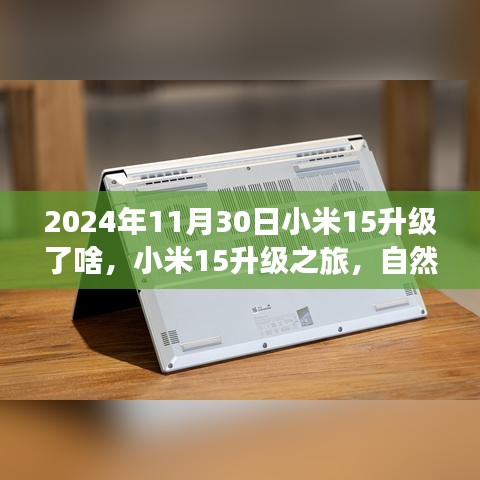 2024年12月1日 第33页