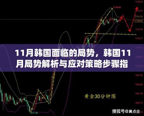 韩国11月局势解析与应对策略指南