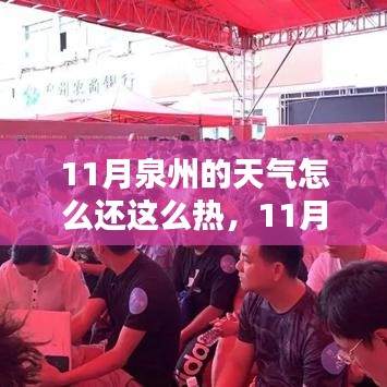 深度解析，泉州11月炎热气候特点与竞品对比