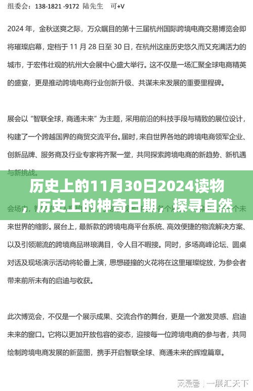 探寻自然美景之旅，历史上的神奇日期——启程于2024年11月30日