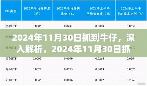 独家解析，2024年11月30日抓到的牛仔产品特性、用户体验与目标用户群体深度解读