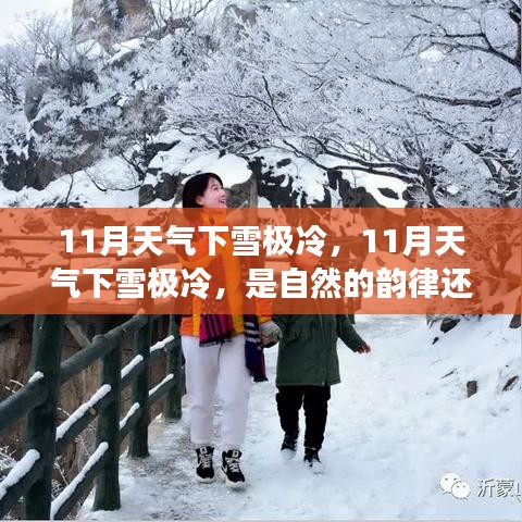 案例 第125页