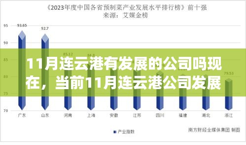 11月连云港公司发展状况全面解析，发展势头强劲的企业一览