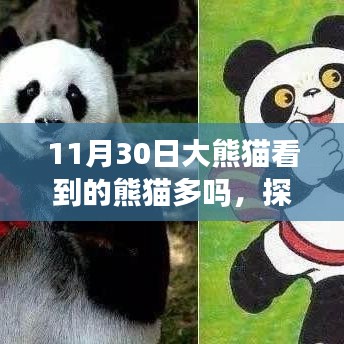 探寻大熊猫足迹，如何在11月30日观察并了解大熊猫数量分布？