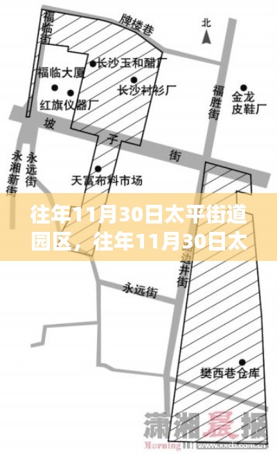 往年11月30日太平街道园区发展评析，深度探讨与XX观点探析