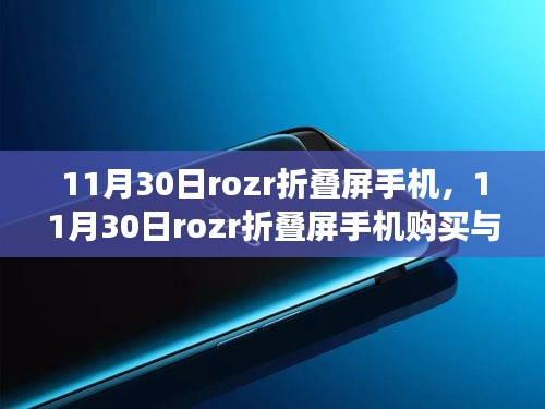 2024年12月2日 第3页