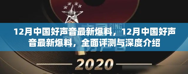 12月中国好声音全面评测与深度介绍，最新爆料一网打尽