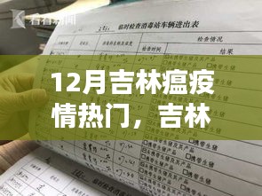 吉林十二月疫情下的生活点滴与防疫心得分享，疫情下的吉林生活与防疫探索