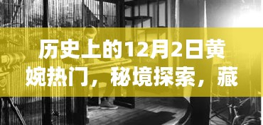 秘境探索，黄婉热门老店——历史与美食的奇妙邂逅在12月2日的小巷深处