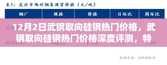 武钢取向硅钢热门价格解析，深度评测、特性、用户体验与目标用户分析