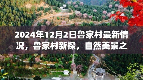 鲁家村深度探索，自然美景与内心平静的奇妙之旅（最新情况2024年12月2日）