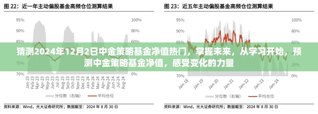 掌握未来趋势，中金策略基金净值预测与变化力量分析（2024年12月2日）