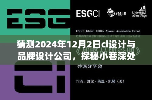 探秘小巷深处的宝藏，CI设计与品牌设计公司的奇趣之旅（2024年12月2日）